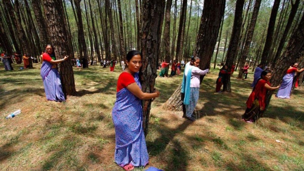 Dense Himalayan forest representing the natural heritage protected by the Chipko movement