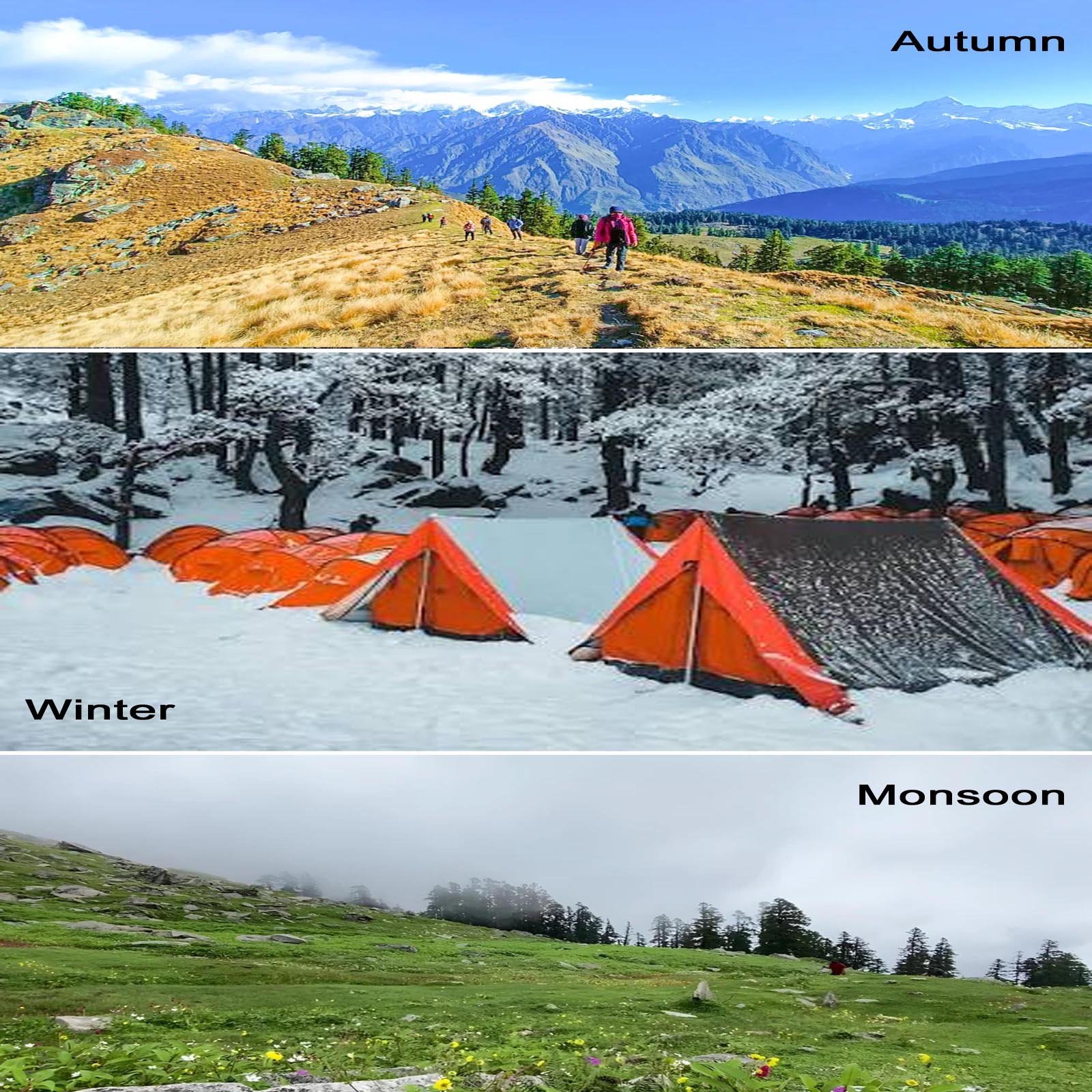 Seasonal mountain meadows and Himalayan scenery along the Kuari Pass trail