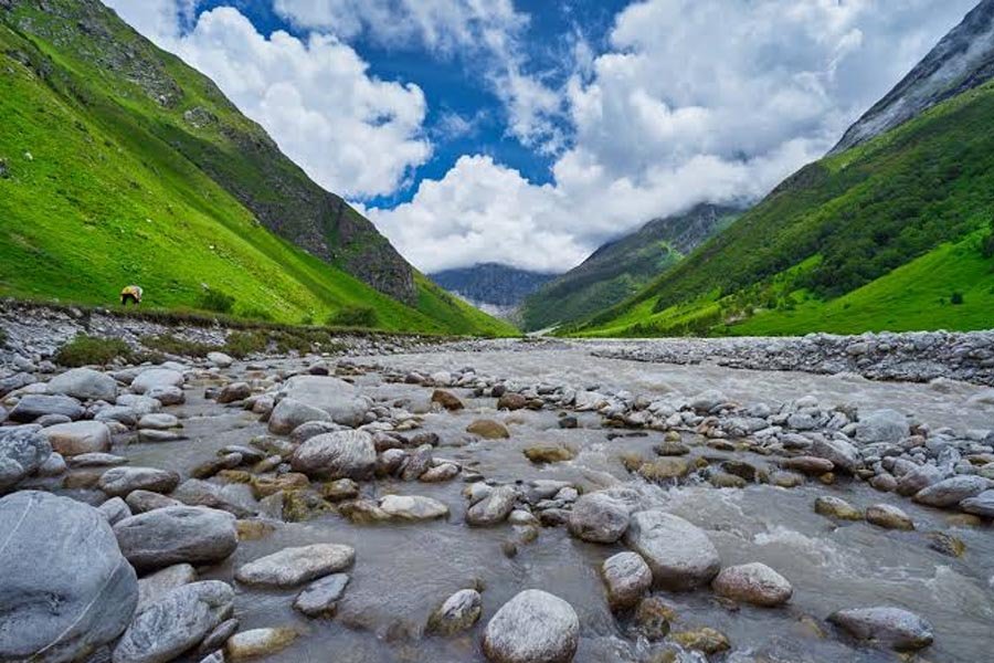 Pushpawati River Valley of Flowers