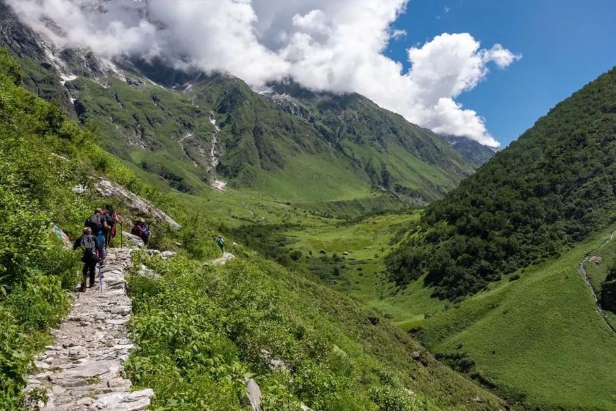 Valley of Flowers trekking trail