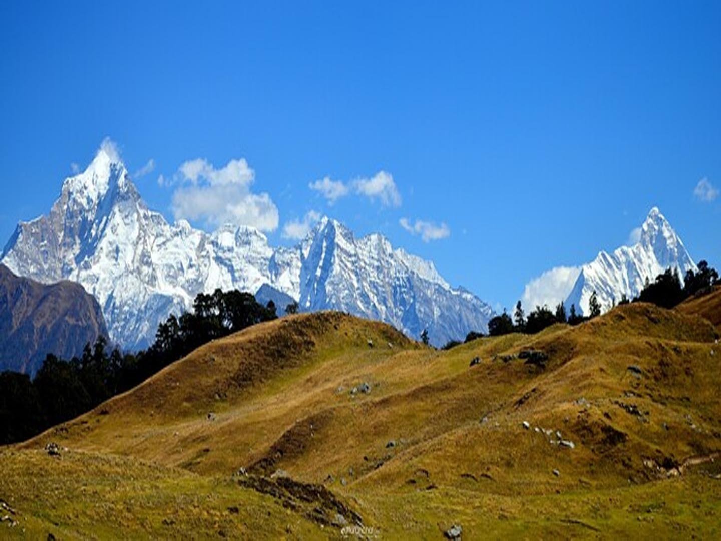 Gorson Bugyal, Auli, Joshimath - Virtual Tour