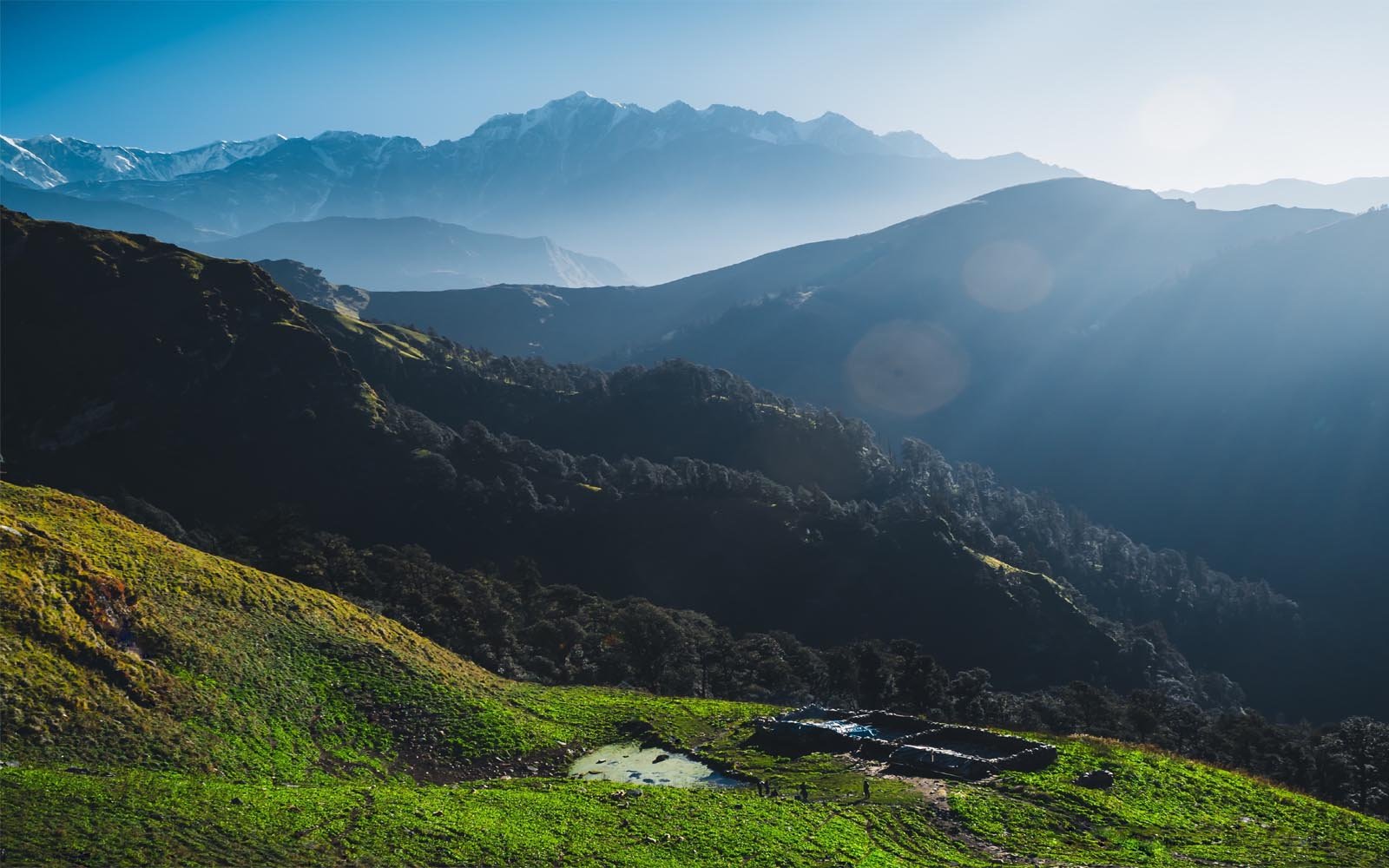 Forests and alpine meadows of Chamoli